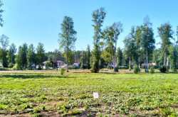 Участок № 53 в поселке Аист, площадь 8.49 соток
