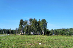 Участок № 63 в поселке Аист, площадь 10.67 соток