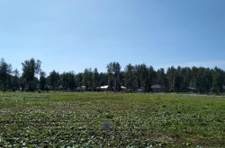 Участок № 79 в поселке Аист, площадь 10.47 соток