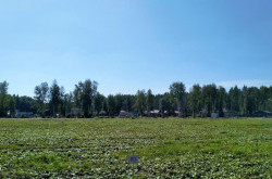 Участок № 80 в поселке Аист, площадь 10.47 соток