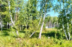 Участок № 87 в поселке Аист, площадь 10.01 соток