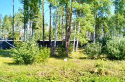 Участок № 90 в поселке Аист, площадь 9.89 соток