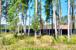 Участок № 91 в поселке Аист, площадь 9.95 соток