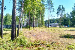Участок № 97 в поселке Аист, площадь 9.95 соток