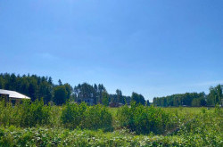 Участок № 6 в поселке Амур, площадь 10.80 соток