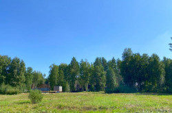 Участок № 21 в поселке Амур, площадь 10.90 соток