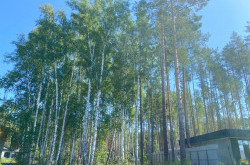 Участок № 36 в поселке Амур, площадь 10.92 соток