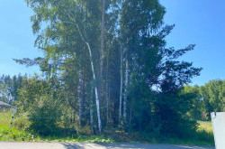 Участок № 101 в поселке Амур, площадь 11.92 соток