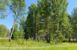 Участок № 55 в поселке Агат, площадь 9.87 соток
