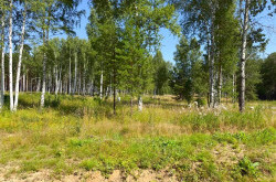 Участок № 56 в поселке Агат, площадь 11.60 соток