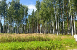Участок № 58 в поселке Агат, площадь 10.60 соток