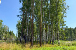 Участок № 66 в поселке Агат, площадь 10.12 соток