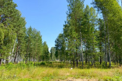 Участок № 72 в поселке Агат, площадь 12.41 соток