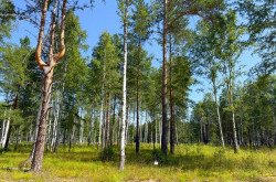 Участок № 73 в поселке Агат, площадь 13.93 соток