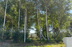 Участок № 4 в поселке Малахит, площадь 10.81 соток