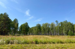 Участок № 40 в поселке Малахит, площадь 9.80 соток