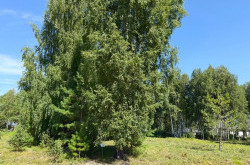 Участок № 72 в поселке Малахит, площадь 9.89 соток