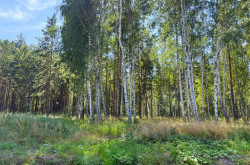 Участок № 44 в поселке Гранат, площадь 16.35 соток