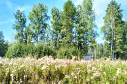 Участок № 107К в поселке Коммерческая земля, площадь 11.92 соток