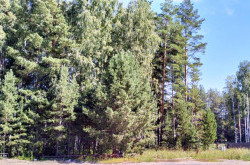 Участок № 114К в поселке Коммерческая земля, площадь 6.98 соток