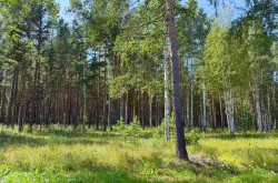 Участок № 52 в поселке Гранат, площадь 18.60 соток