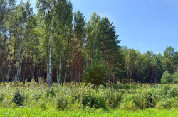 Участок № 53 в поселке Гранат, площадь 18.60 соток