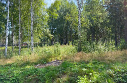 Участок № 65 в поселке Гранат, площадь 13.23 соток