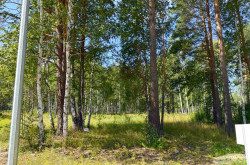 Участок № 76 в поселке Гранат, площадь 9.65 соток