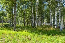 Участок № 92 в поселке Гранат, площадь 9.20 соток