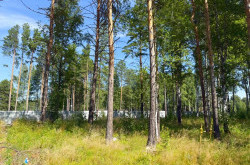 Участок № 103 в поселке Гранат, площадь 12.62 соток