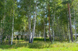 Участок № 114 в поселке Гранат, площадь 9.84 соток