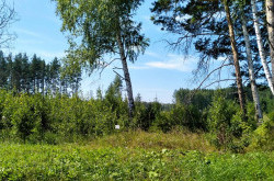 Участок № 2 в поселке Иволга, площадь 16.90 соток