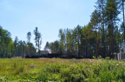 Участок № 45 в поселке Иволга, площадь 11.86 соток