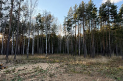 Участок № 10 в поселке Колибри, площадь 25.60 соток