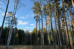 Участок № 12 в поселке Колибри, площадь 21.90 соток