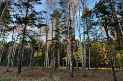 Участок № 15 в поселке Колибри, площадь 16.80 соток