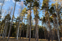 Земельный участок № 37 в Колибри, цена 1 046 250 руб/сотка