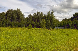 Участок № 32 в поселке Лукоморье, площадь 12.98 соток