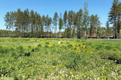 Участок № 4 в поселке Аист, площадь 10.14 соток