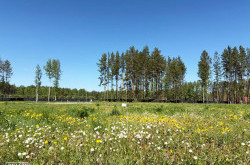 Участок № 5 в поселке Аист, площадь 12.09 соток