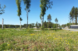 Участок № 45 в поселке Аист, площадь 9.85 соток