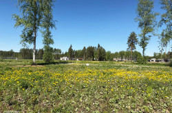 Участок № 46 в поселке Аист, площадь 8.06 соток