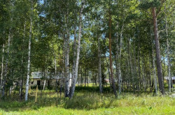 Участок № 114 в поселке Гранат, площадь 9.84 соток