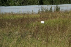 Земельный участок № 32 в Лукоморье, цена 210 000 руб/сотка