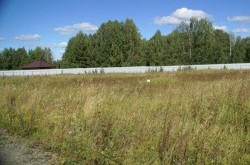 Участок № 32 в поселке Лукоморье, площадь 12.98 соток