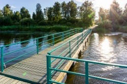 Участок № 32 — 12.98 соток в Лукоморье, продажа