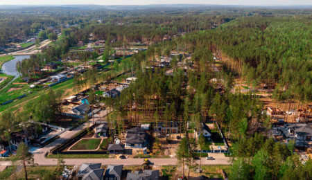 Журавли