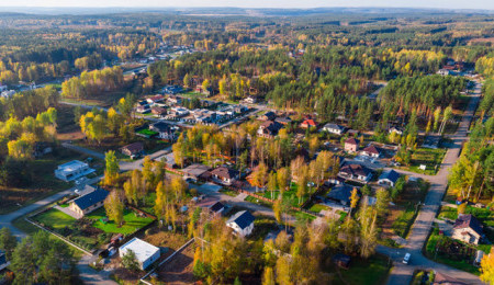 Рысь