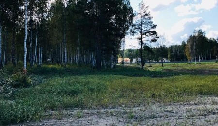 Участок № 169 в поселке Рысь, площадь 12.80 соток