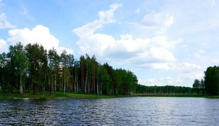 Участок № 235 в поселке Рысь, площадь 16.25 соток
